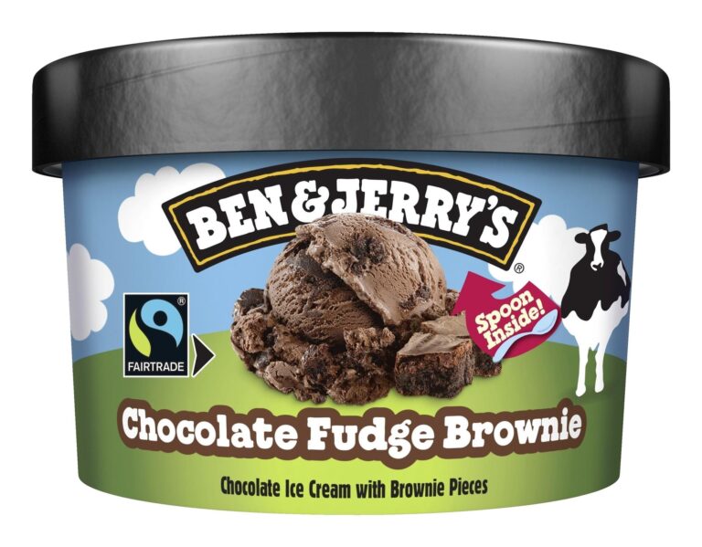 Ben & Jerry’s Chocolate Fudge Brownie 100ml